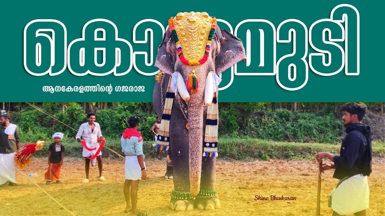 Cherpulassery Ananthapadmanabhan First Pooram 2025 🔥😍 | SK Ananthapadmabhan Thonikadavu Pooram