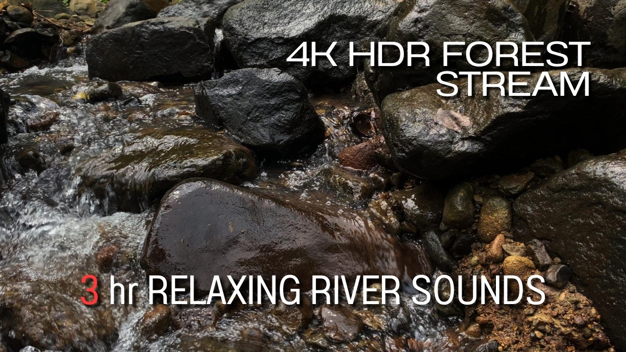 4K HDR Forest Stream - Relaxing River Sounds - No Birds - Natural White Noise - Relax/ Sleep/ Study