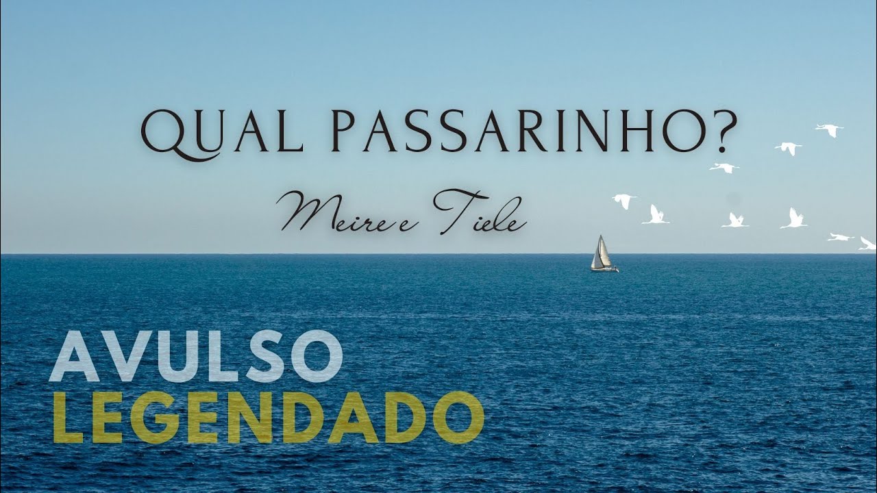 QUAL PASSARINHO? - Hino Avulso | Meire e Tiele