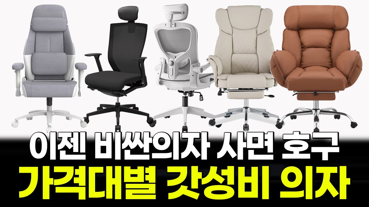 제발 돈날리지말고 제대로 된 컴퓨터의자 추천 BEST5 | 비애노 | 싯존 | HOMEY NEST | 시디즈 | 제닉스
