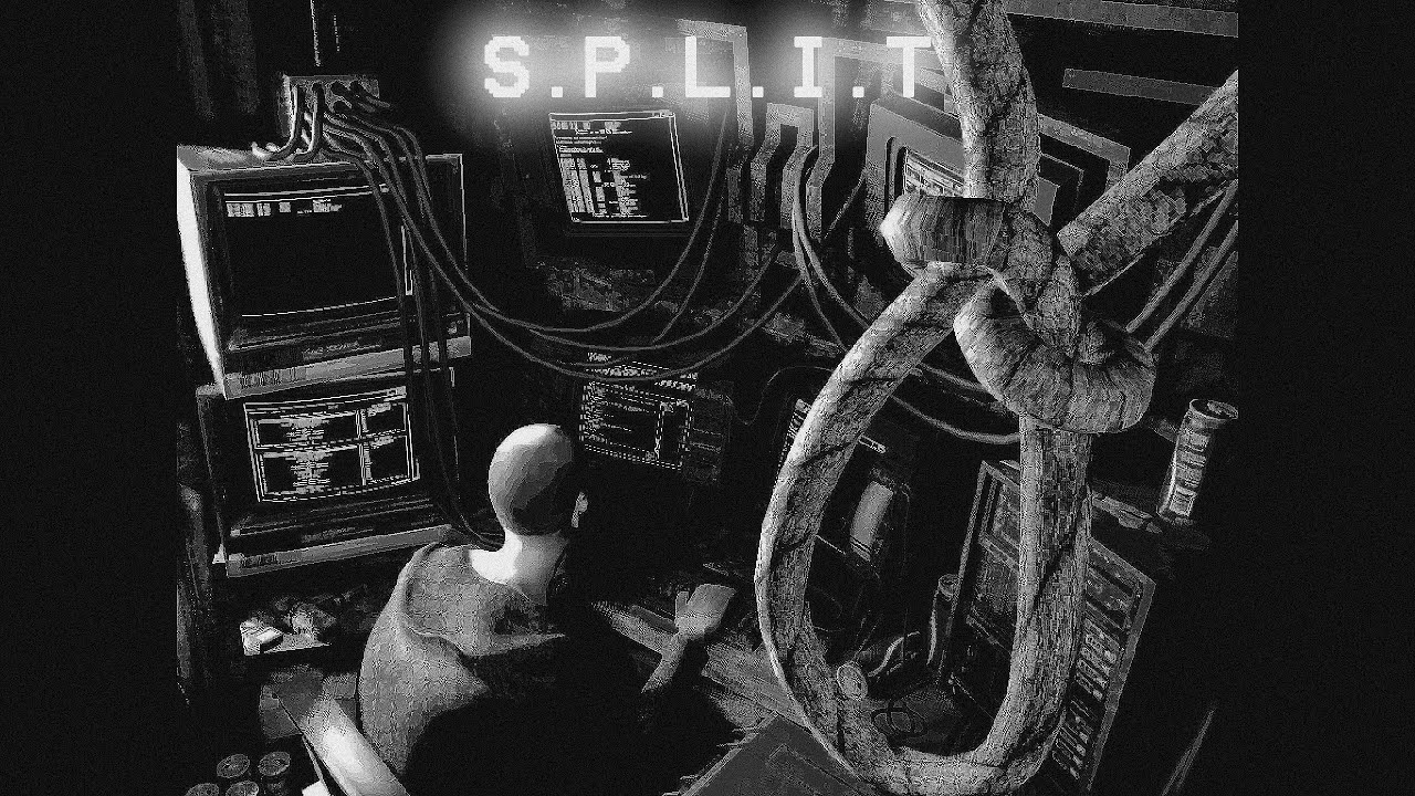 ТУПОЙ ПРОГРАММИСТ! | s.p.l.i.t
