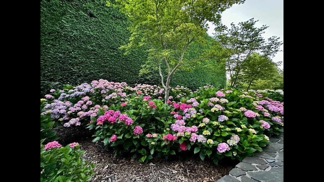 Mayfield Gardens