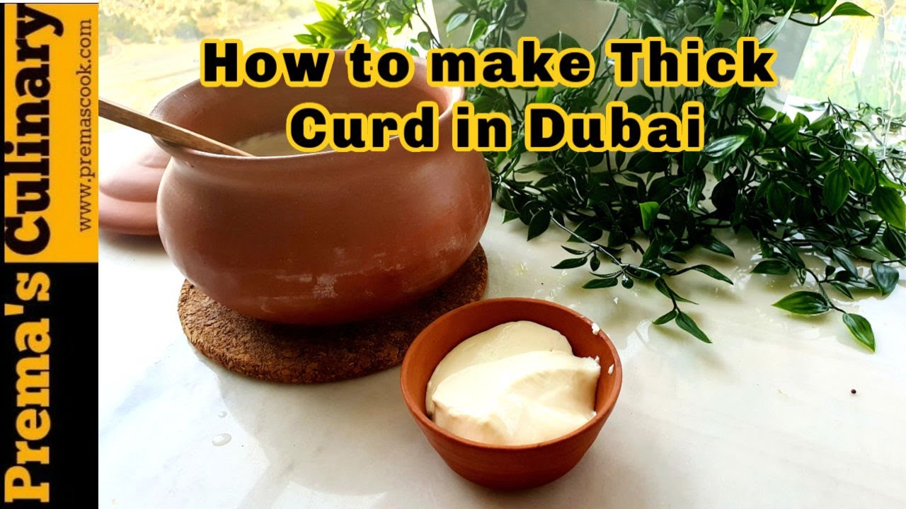 HOMEMADE CURD, HOW TO MAKE INDIAN DAHI, THAYIR, YOGURT IN DUBAI