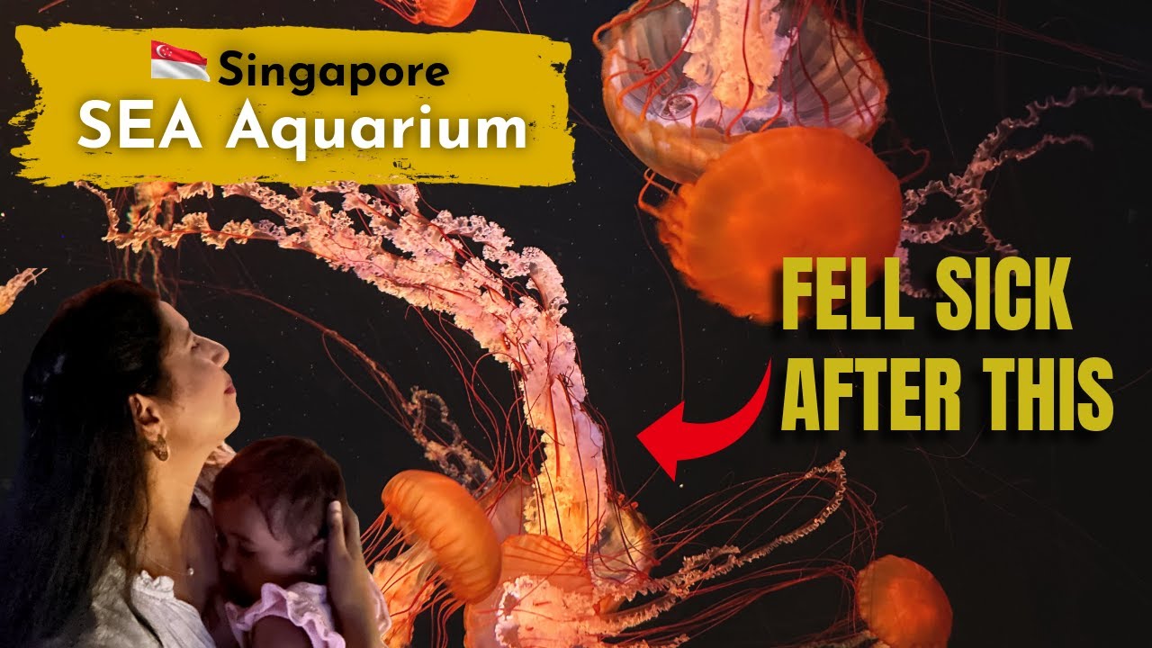 We Had to Cancel Everything…🥺 | SEA Aquarium + Cable Car | Vlog-41 | Episode-8