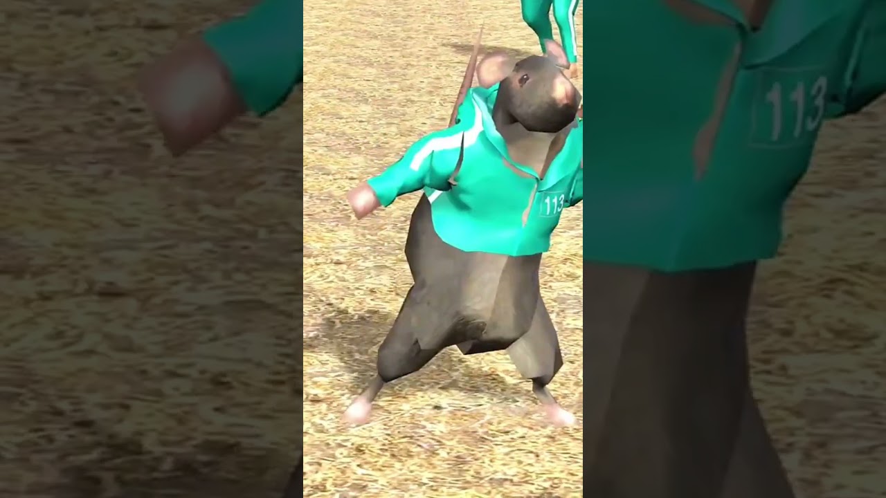 Apenas um rato dan&ccedil;ando no Squid Game🐭