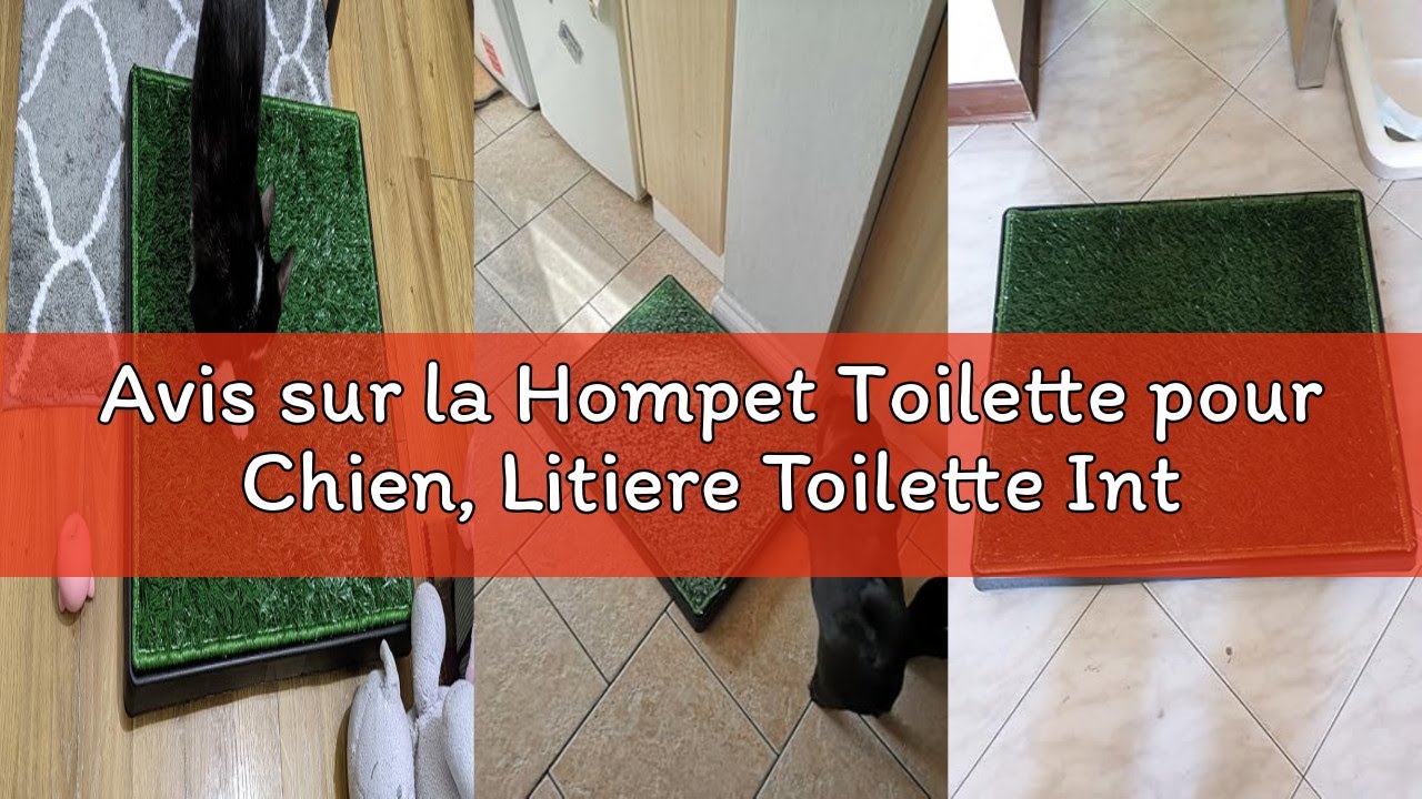 Avis sur la Hompet Toilette pour Chien, Litiere Toilette Interieur Tapis Pipi Chien, Bac à Déchets A