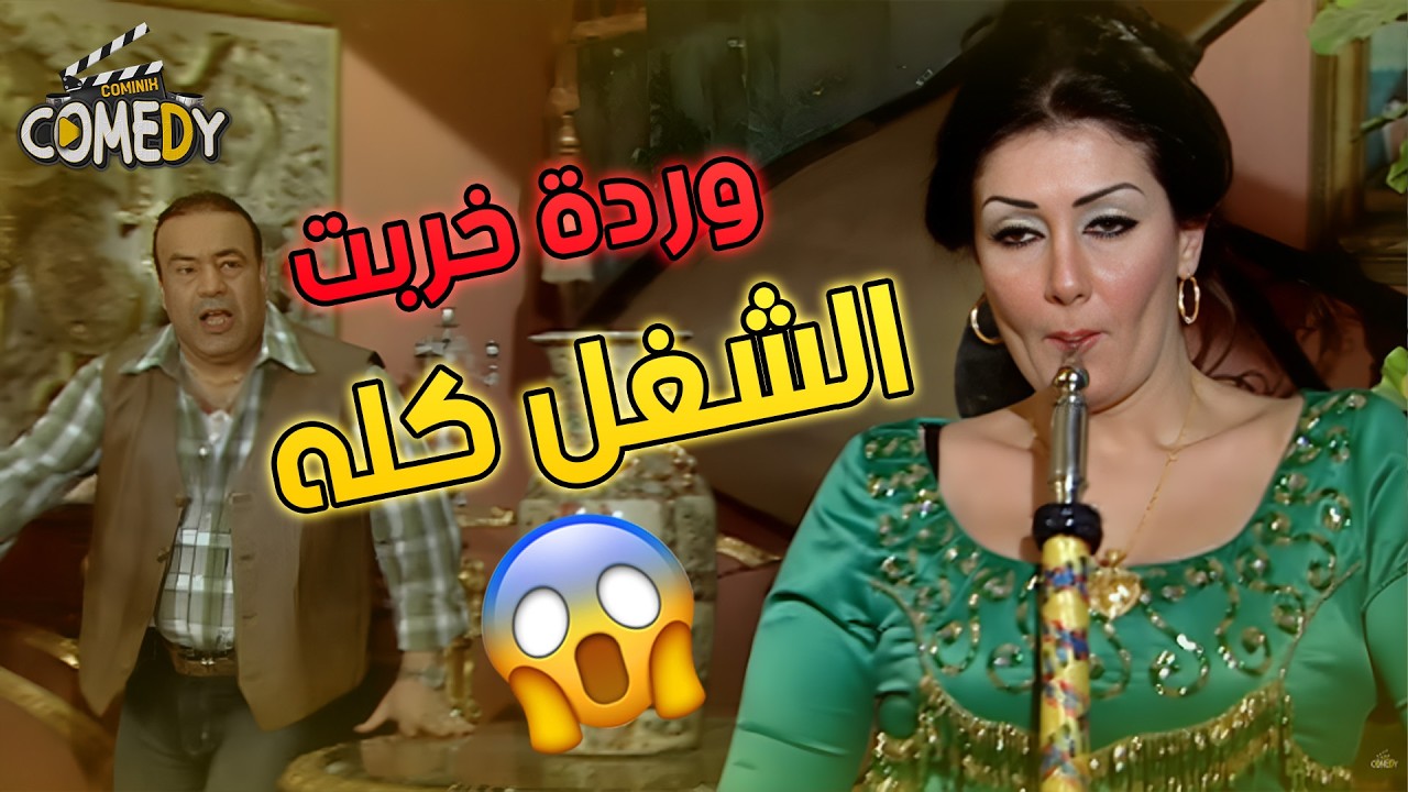اللي ليه ضهر ما ينضربش 🛡️😎حلقات مجمعة من مسلسل الباطنية