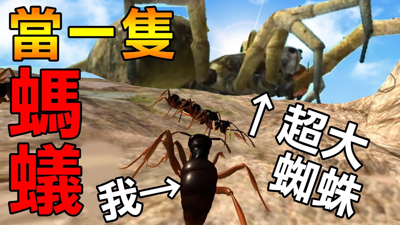 【當一隻螞蟻】當螞蟻好可怕喔! 連蜘蛛都比我大100倍! | Ant Simulation 3D