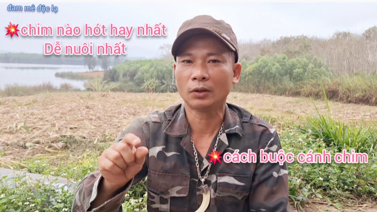 Chim Nào Hót Hay Nhất | Dễ Nuôi Nhất | Cách Buộc Cánh Chim Bạn Biết Chưa | đam mê độc lạ