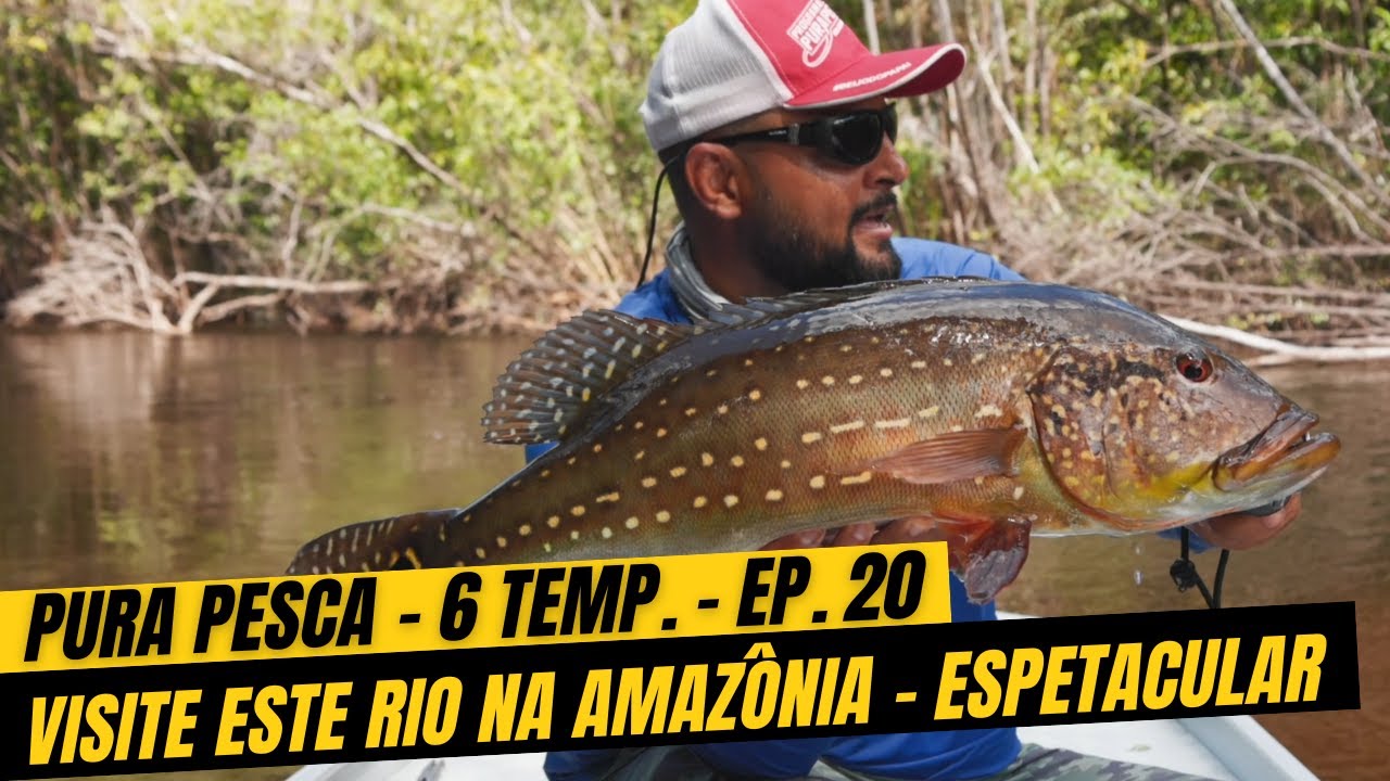 PURA PESCA - 6ª TEMP. - EP.20 - VISITE ESTE RIO NA AMAZÔNIA - ESPETACULAR