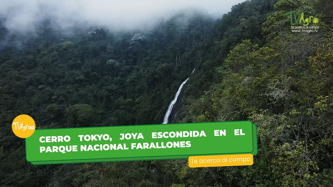 Cerro Tokyo, joya escondida en el Parque Nacional Farallones- TvAgro por Juan Gonzalo Angel Restrepo
