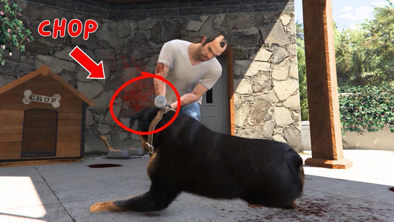 Trevor Kills Chop & Franklin | Gta 5