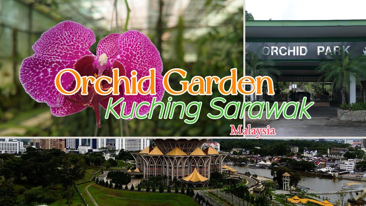 Orchird Park Kuching Sarawak Malaysia