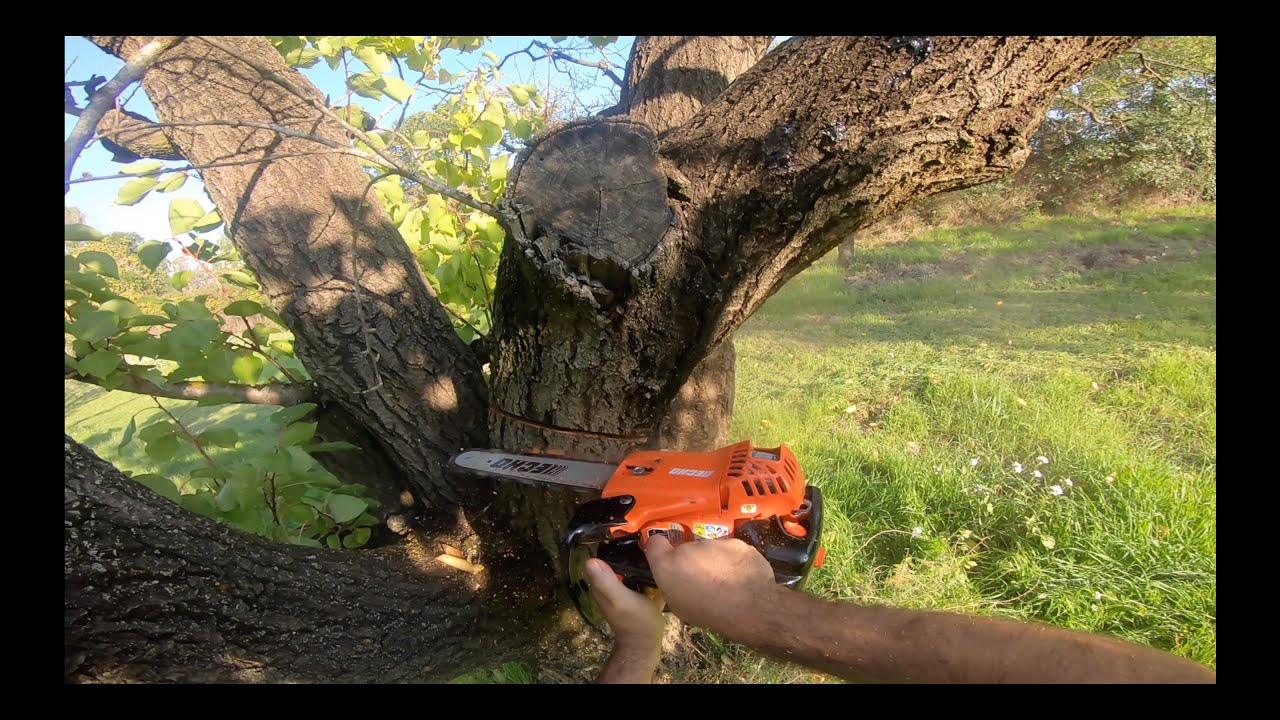 unboxi e recensione motosega echo CS-280TES - unboxi and review chainsaw echo CS-280TES