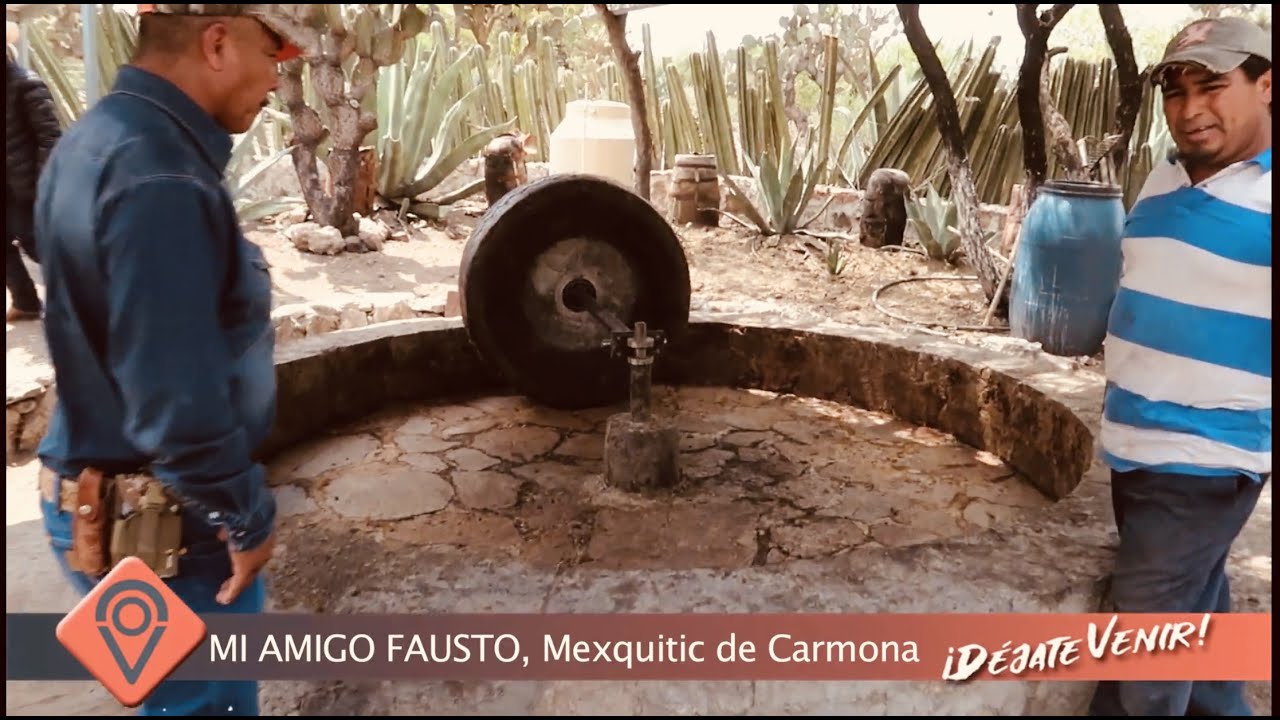 MEZCAL CAMPANILLA EN MEXQUITIC DE CARMONA