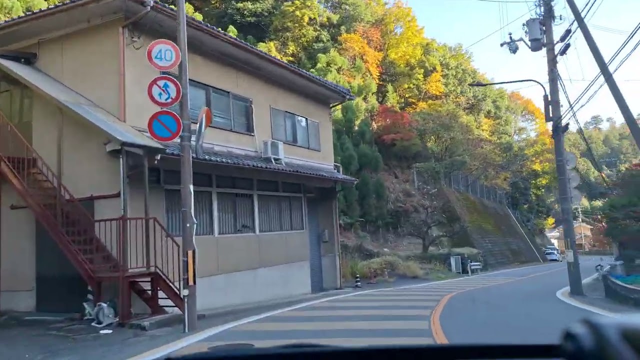 Scenic drive to Arashiyama Kyoto 27 Nov 2024(1)