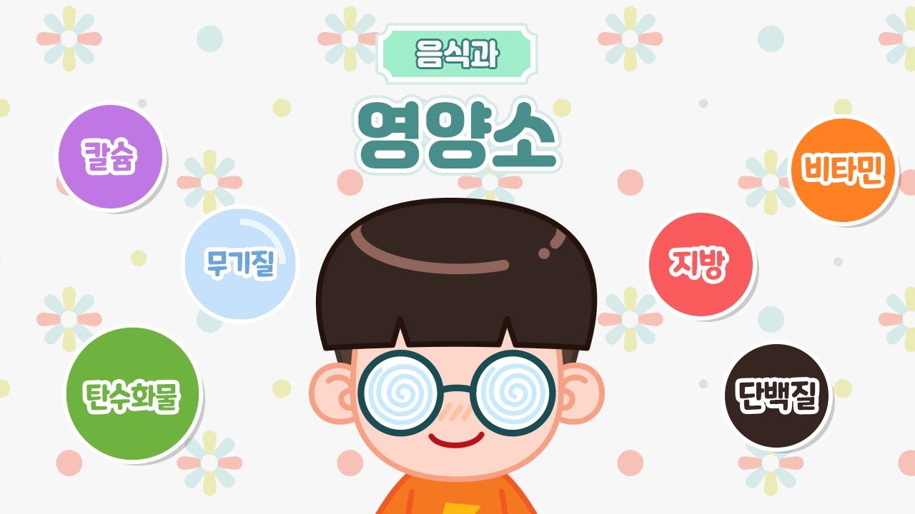 [홈런픽] 공부할 때도 영양소가 필요해! 우리 몸 속 6대 영양소란? 😝