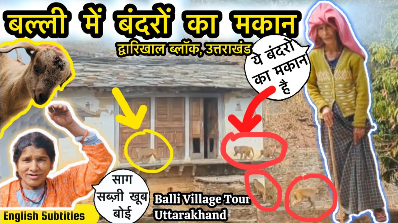 आइये ग्राम बल्ली चलते हैं । Balli Village Tour | Pauri Garhwal Uttarakhand
