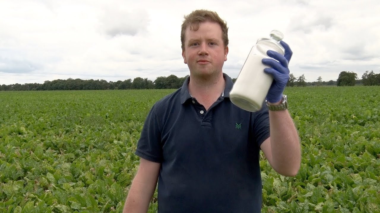 Crop science and why it's the career for me
