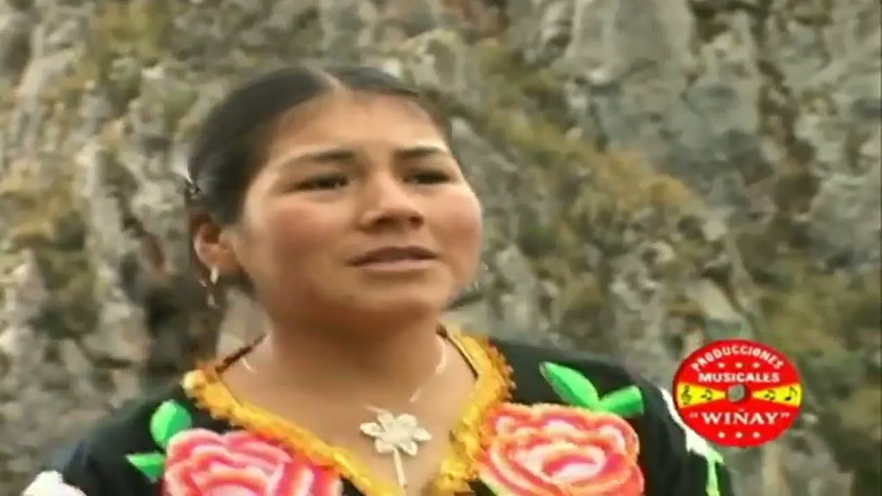 ERIKA VALENCIA - MEGA MIX RECUERDOS / EXITOS BAILABLES