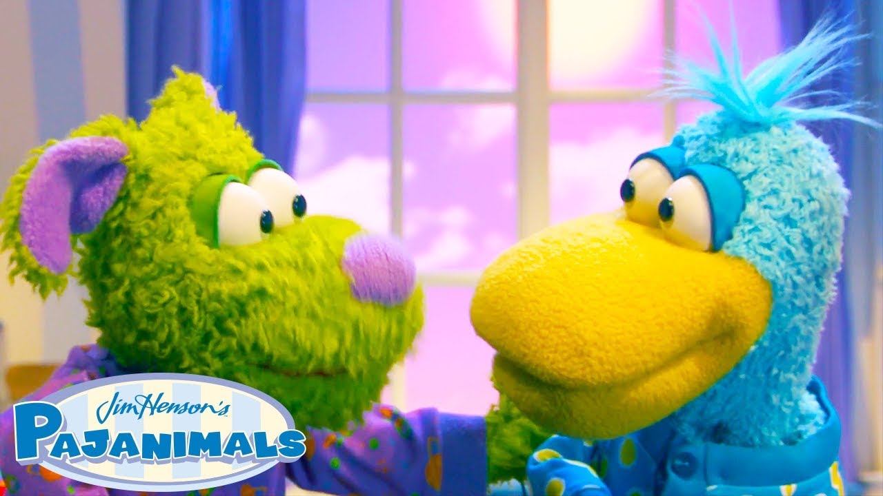 Apollo and Squacky Had Bad Days! | Pajanimals
