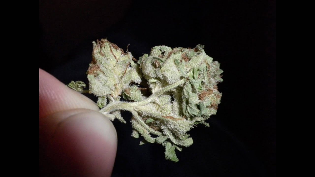 Close ups.
