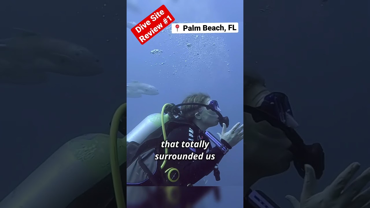 Dive Site Review #1: Palm Beach, FL