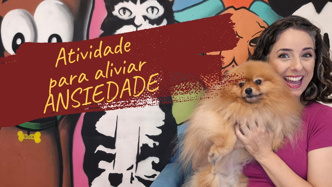 Enriquecimento ambiental: brinquedos e petiscos p aliviar ansiedade