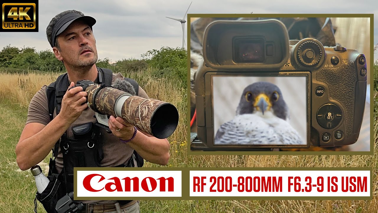 Canon RF 200-800mm Lens. Is It Too Soft?