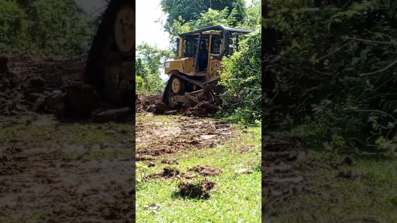 Bulldozer D6r Xl working in the forest making road