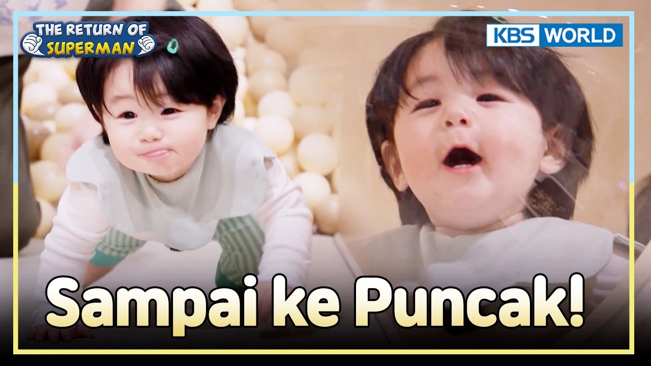 Bebek-Bebek Bikin Haru Makin Happy 🦆 | The Return of Superman [IND/ENG] | KBS WORLD TV 260315