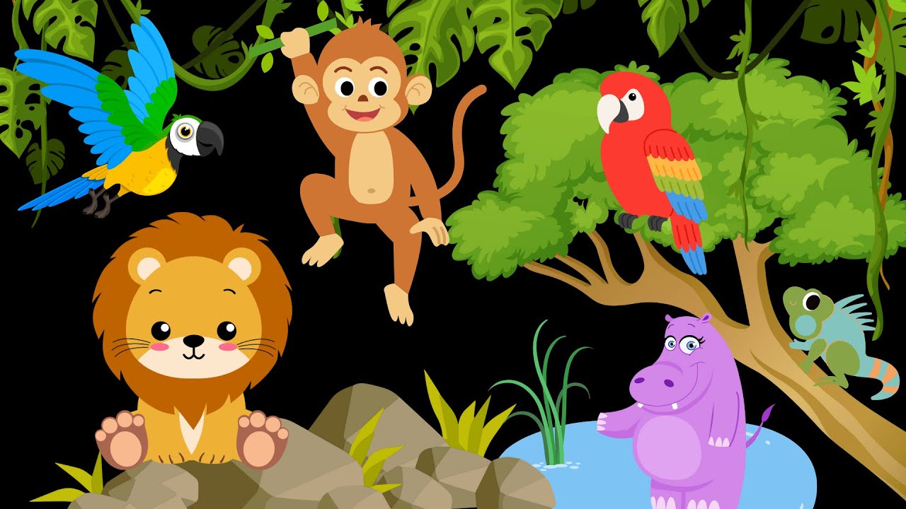 Baby Sensory Jungle Safari | High Contrast Calming Music & Nature Sounds for Tummy Time & Relaxation