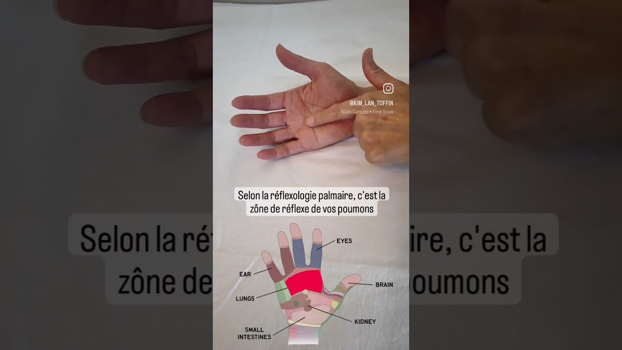 l'automne arrive. commen&ccedil;ons &agrave; nourrir nos poumons ! #formation #massage #acupression #acupuncture