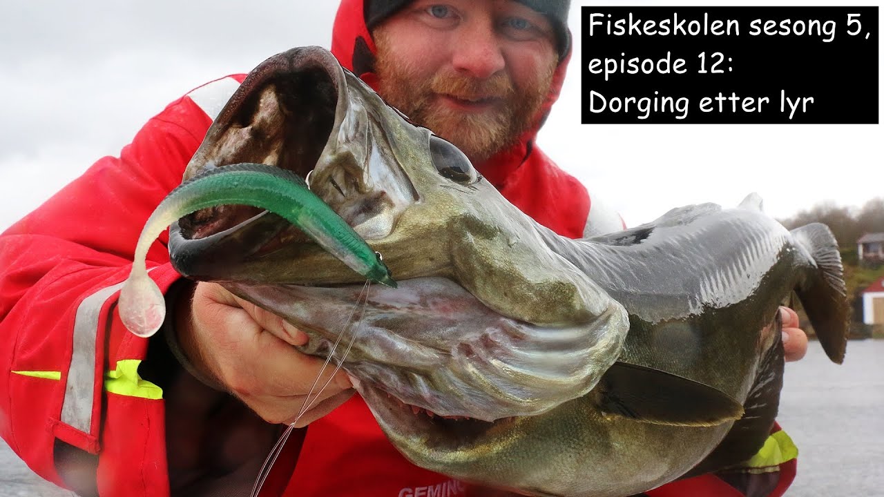 Fiskeskolen sesong 5, episode 12: Dorging etter lyr
