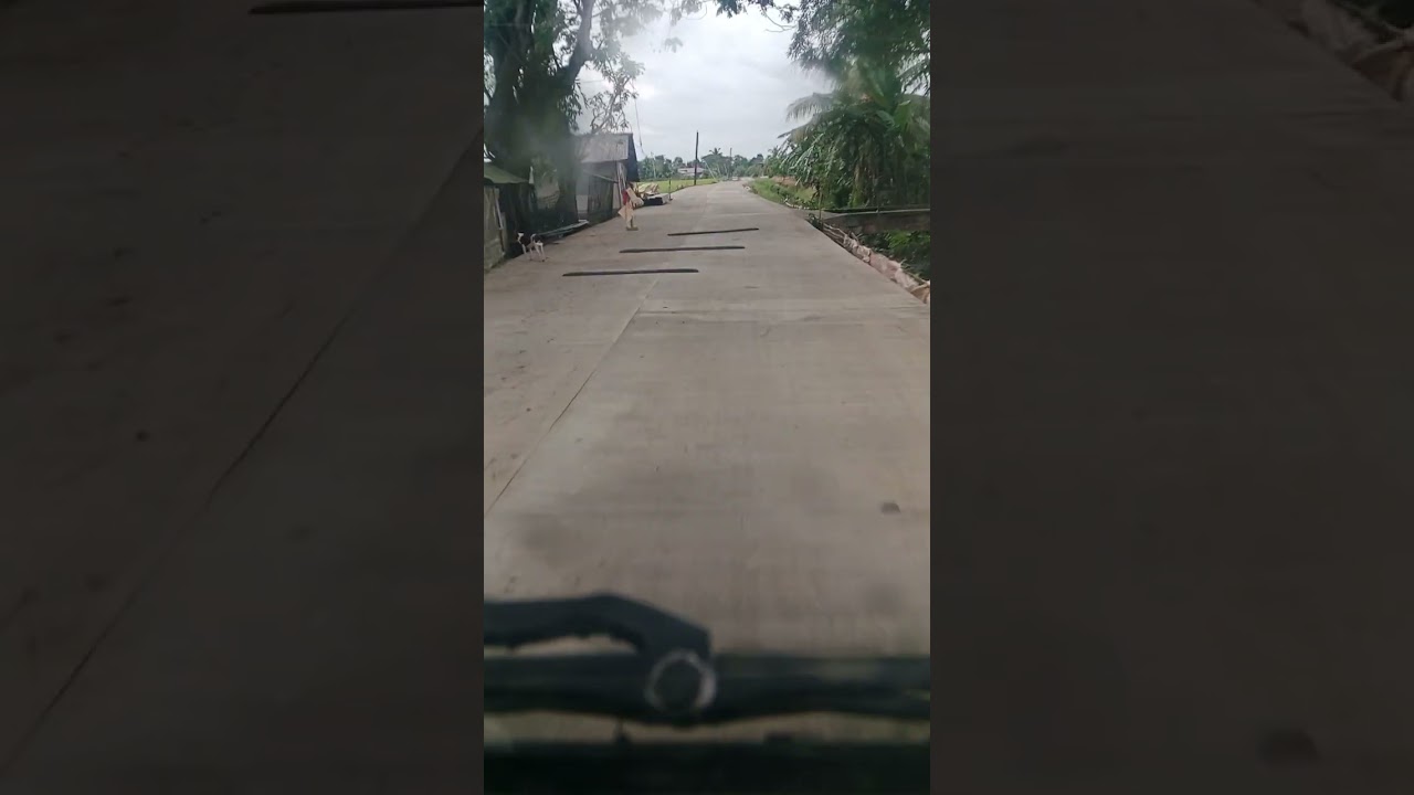 ILOILO PROVENCE NATIONAL ROAD HIGHWAY AND BRGY.ROAD