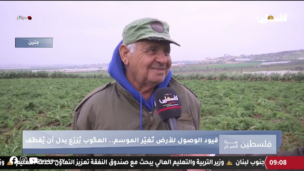 زراعة العكوب في جنين - كيف تغير الموسم بفعل قيود الاحتلال؟