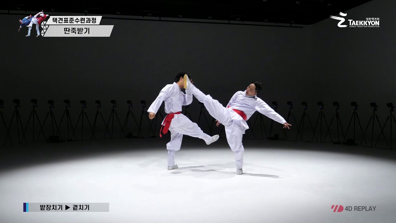 [4D] 대한택견회 표준수련과정_8. 딴죽받기