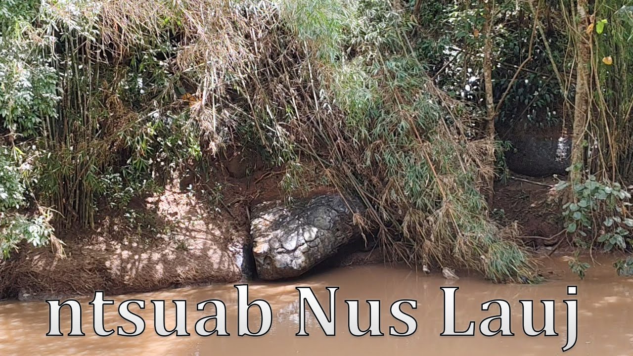 Hnub no kuv coj peb mus saib nab pob zeb nawb.7/10/2025