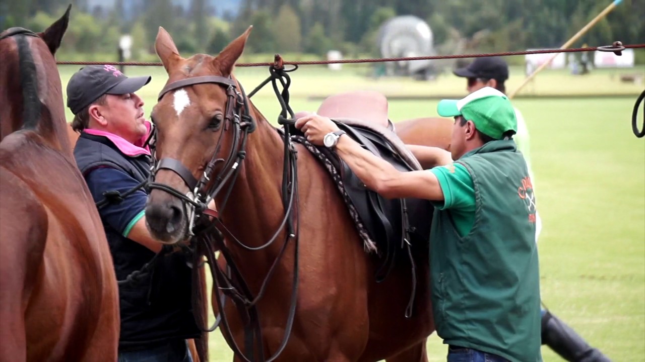 Polo Club de Bogot&aacute;