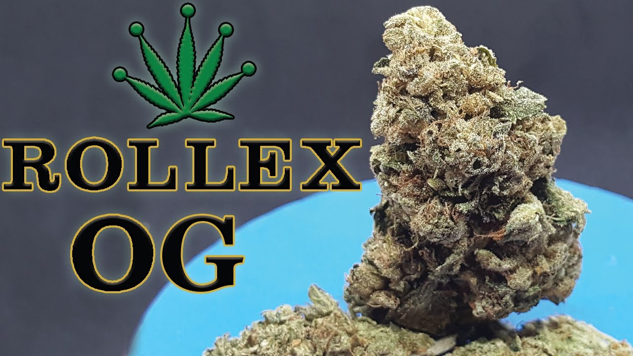 Rollex OG Strain Review