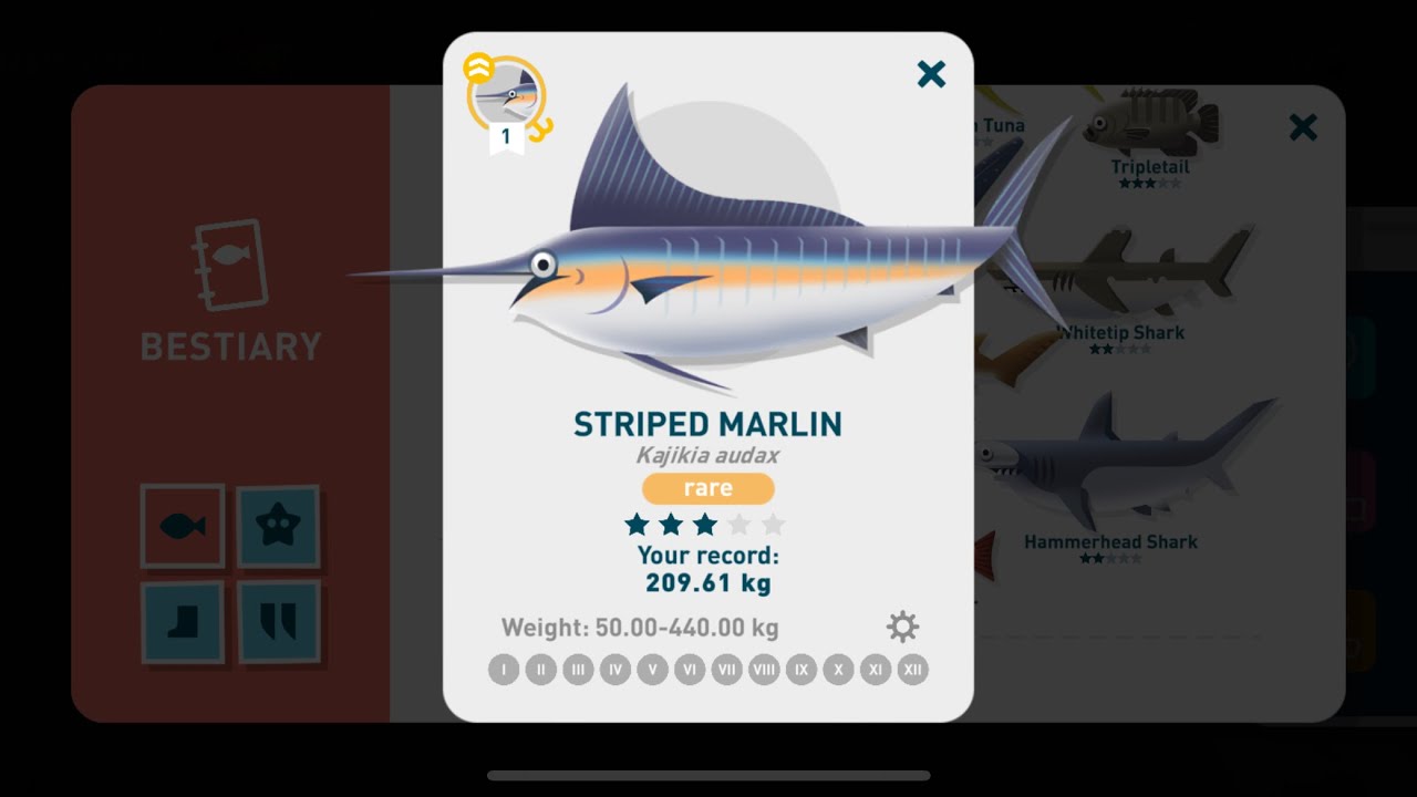 Creatures of the Deep Costa Rica Striped Marlin