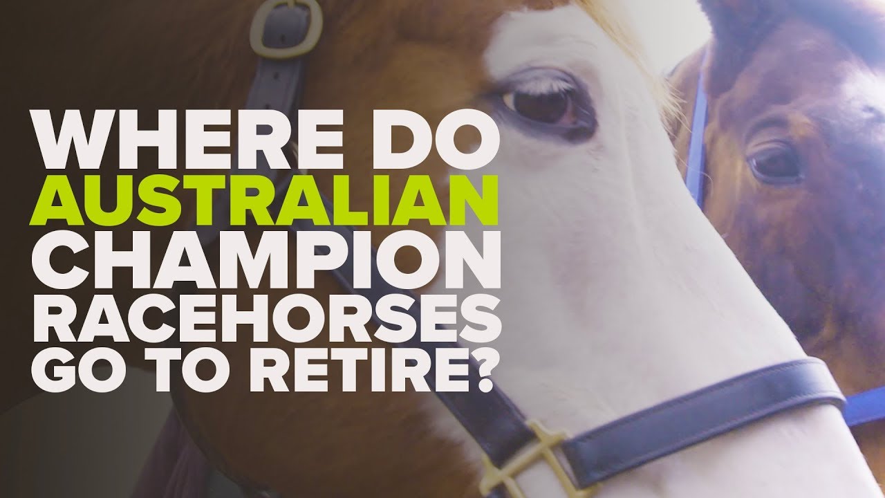 WHERE AUSTRALIAN HORSES RETIRE | APACHE CAT & MIGHT AND POWER