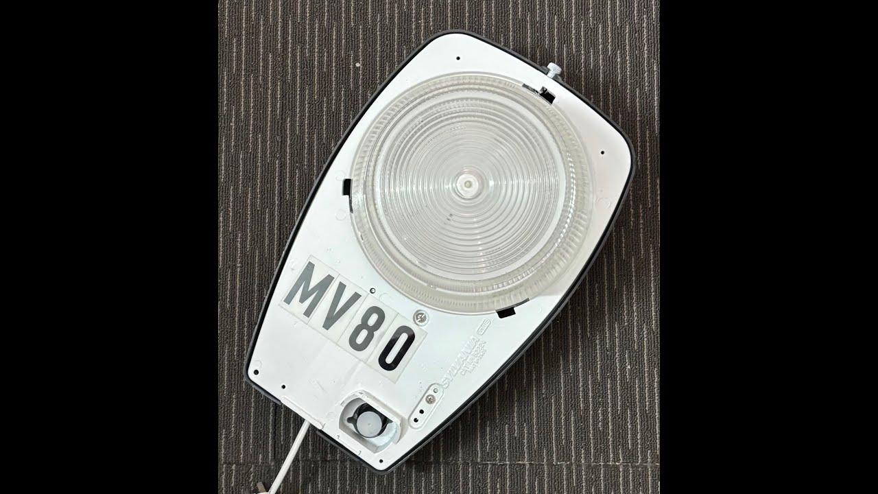 Sylvania B2224 street light