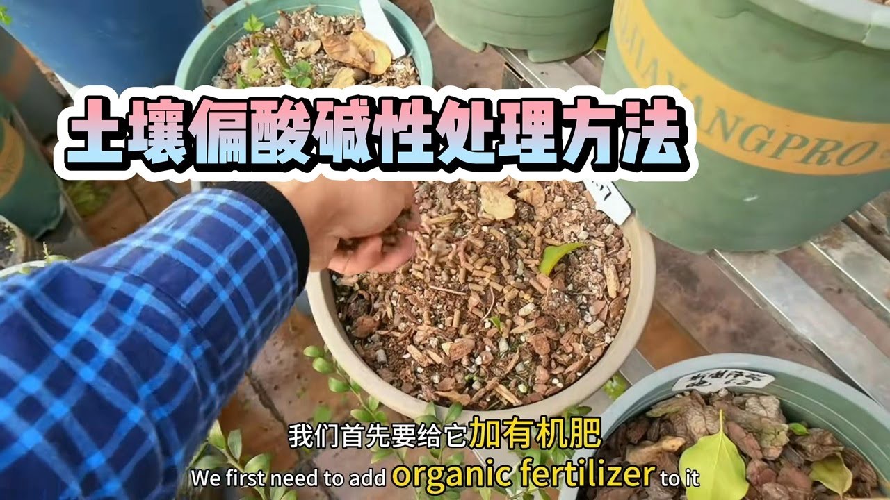 土壤偏酸碱性处理方法 #土壤改良
