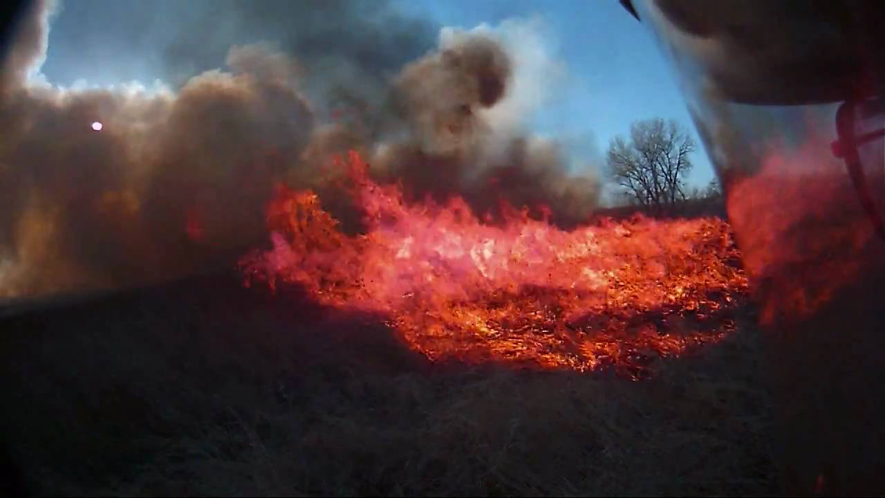 Extreme botany - Flame Spread in a grass fire