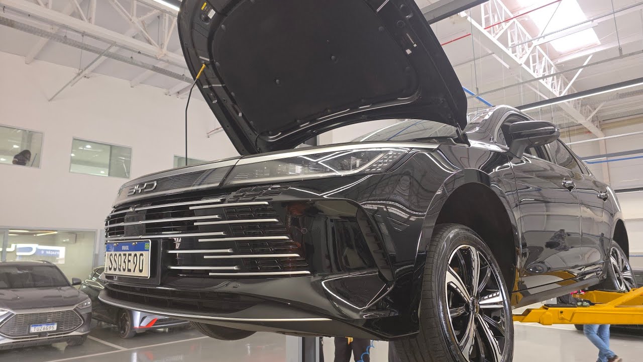 BYD King 36 mil km de revisão