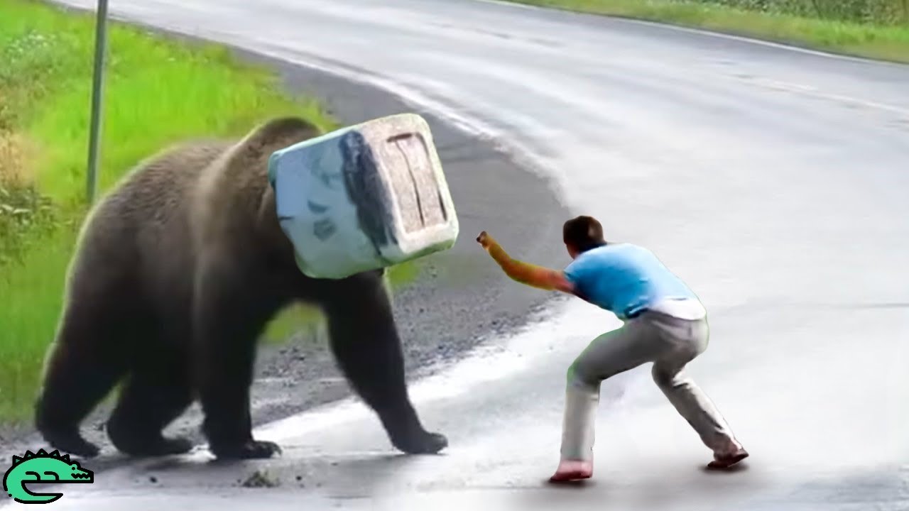 Des Animaux Qui Ont Demand&eacute; De L'aide Et De La Gentillesse Aux Humains