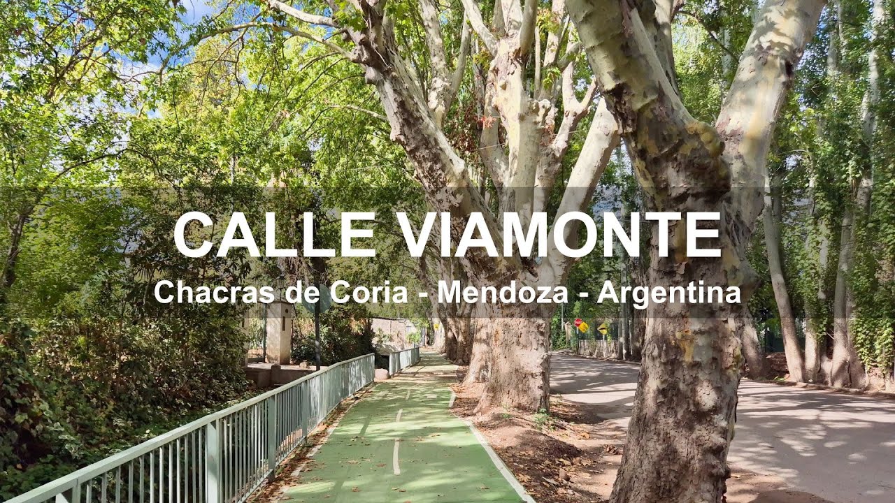 Calle Viamonte / Plaza Chacras de Coria - Luján de Cuyo - Mendoza - Argentina