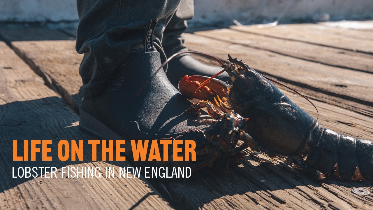Life on the Water | Lobster Fishing in New England