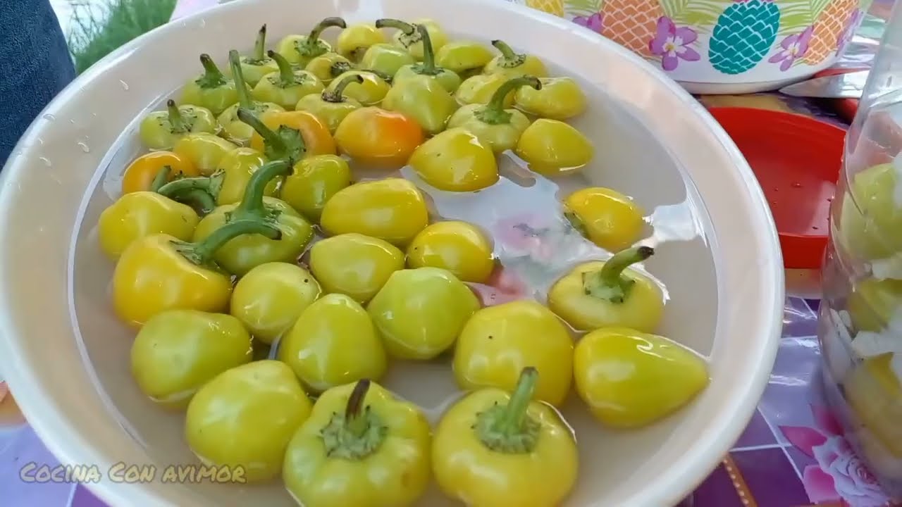 COMO CURTIR CHILES BOLITA CON VINAGRE DE PIÑA .